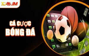 Cá Cược Bóng Đá