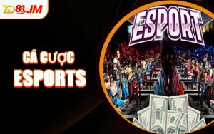 Cá Cược Esports
