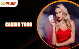 Casino TD88