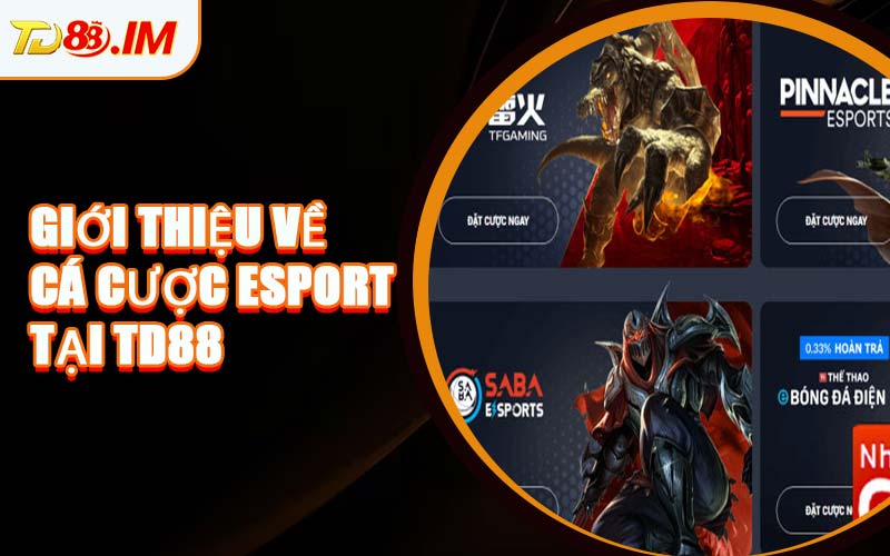 Giới Thiệu Về Cá Cược Esports Tại TD88