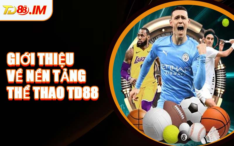 Giới Thiệu Về Nền Tảng Thể Thao TD88