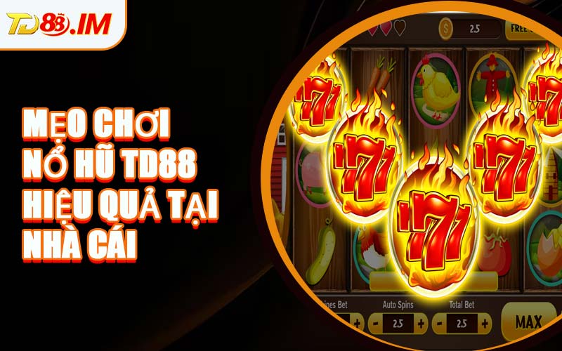 Mẹo Chơi Nổ Hũ TD88 Hiệu Quả Tại Nhà Cái