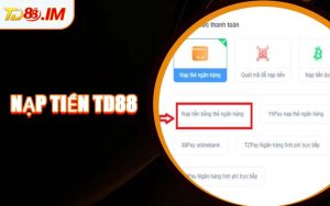 Nạp Tiền TD88